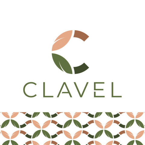 Logo clavel